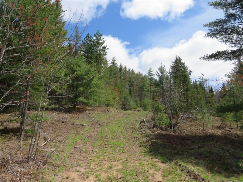 Remote U.P. Rec Property : Ishpeming : Marquette County : Michigan