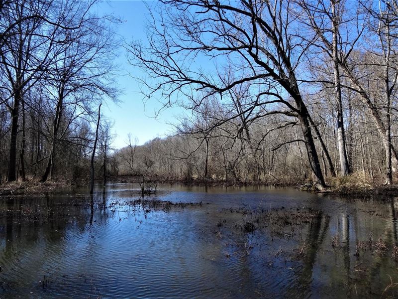 120 Acre Perry County Duck Hole : Perry : Perry County : Arkansas