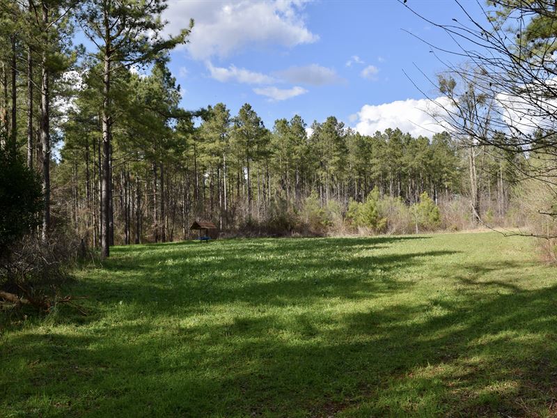 Hog Crawl Creek Farm : Montezuma : Macon County : Georgia