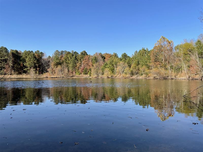 Little Turkey Creek : Donalds : Greenwood County : South Carolina