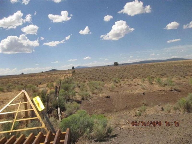 641 Acres on Fish Hole Creek : Bly : Klamath County : Oregon