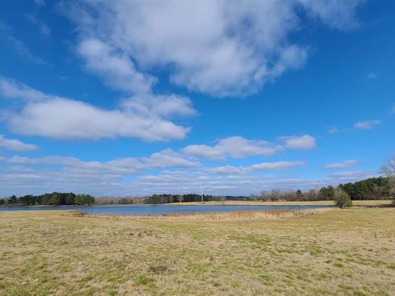 Blue Springs Farm : Wilsonville : Shelby County : Alabama