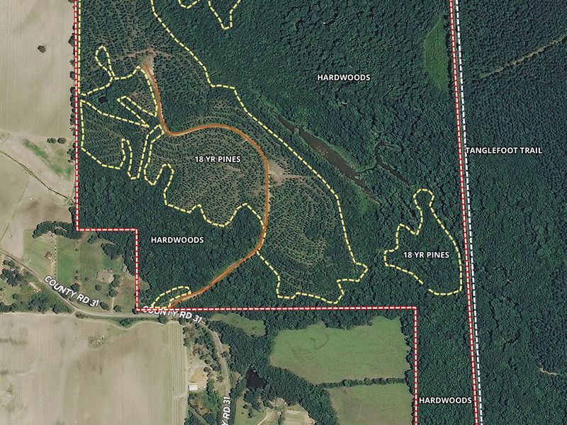 Houlka Creek, 188.65 Ac : Houston : Chickasaw County : Mississippi