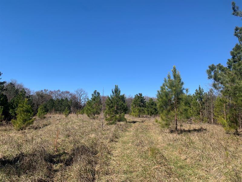 Meadow Creek : Greensboro : Greene County : Georgia