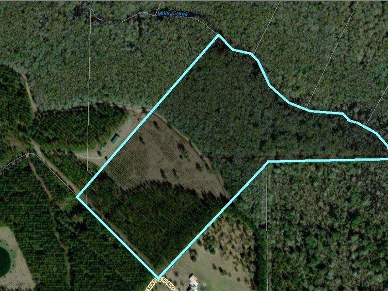 33 + Acres, Sawtooth Ridge : Callahan : Nassau County : Florida
