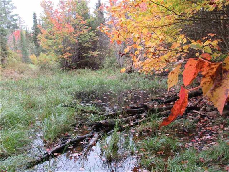 S Off Nestoria Rd : Covington : Baraga County : Michigan
