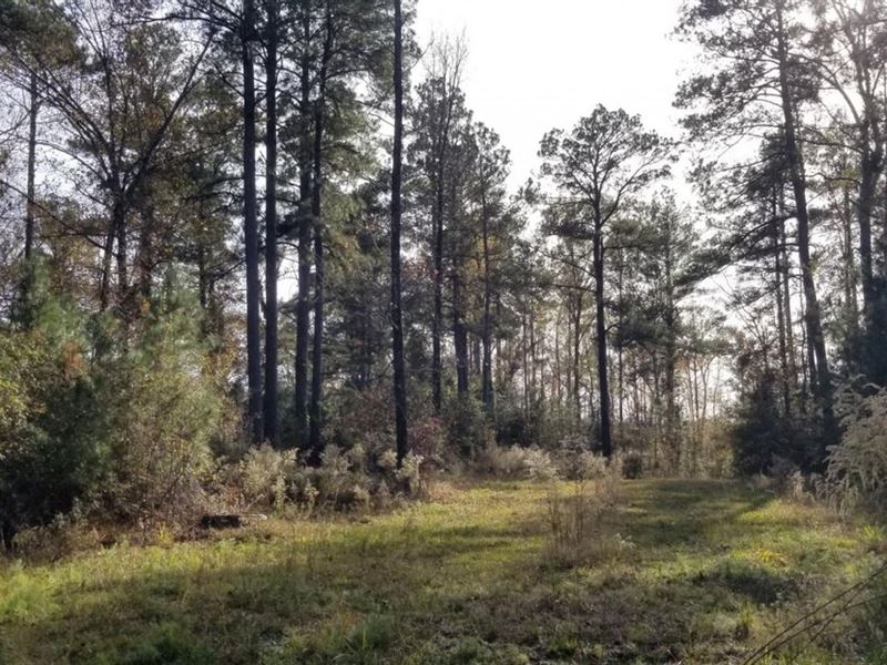 Coburn Road 40 on Bear Creek : Georgetown : Grant Parish : Louisiana