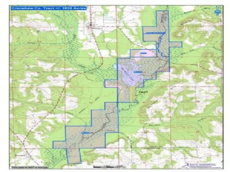 Timber Investment & Recreational : Petrey : Crenshaw County : Alabama