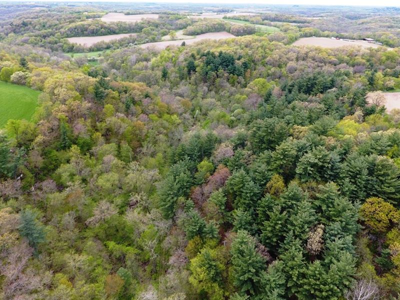 Perfect Valley Acres : Highland : Iowa County : Wisconsin