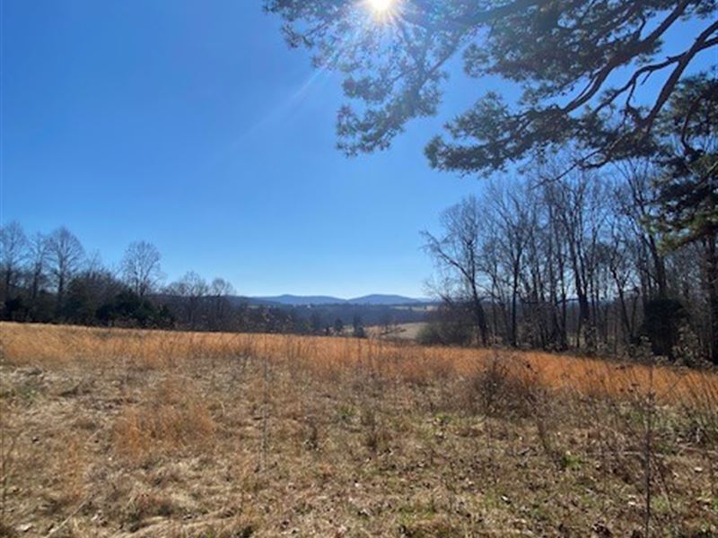 21.49 +/- Acres, Unrestricted : Byrdstown : Pickett County : Tennessee