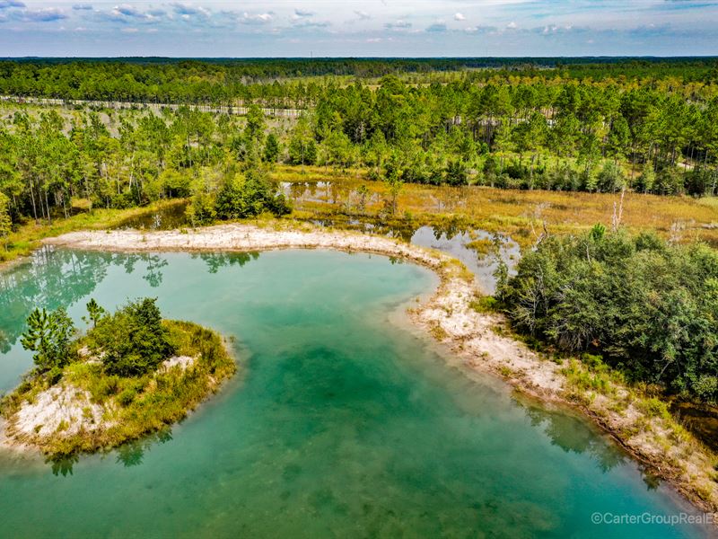 Pond, Wildlife, Exceptional Hunting : Waycross : Ware County : Georgia