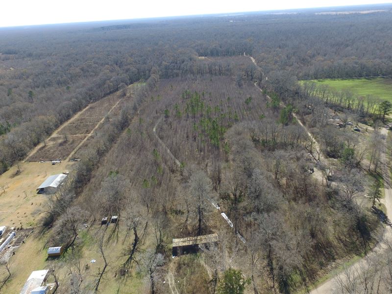 Avoyelles Parish Hunting Tract : Plaucheville : Avoyelles Parish : Louisiana