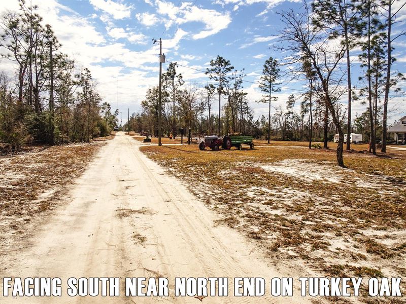 $9900 Down, Level, Must Sell : Fountain : Bay County : Florida