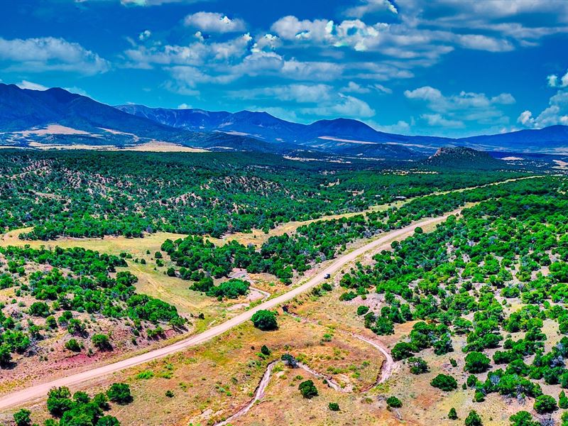 35 Acre Ranch with Mountain Views : Gardner : Huerfano County : Colorado