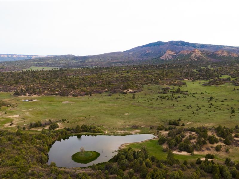 Broken Butt Ranch Tract 4 : Chama : Rio Arriba County : New Mexico