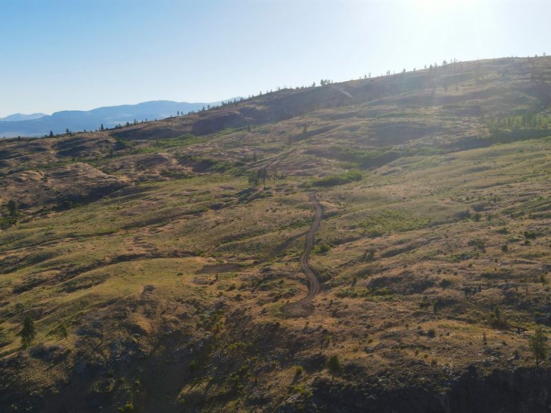 Off-Grid 40 Acres Hunting Land : Tonasket : Okanogan County : Washington