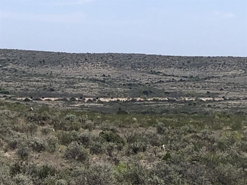 Osman Canyon 2, Lot 64, with Well : Langtry : Val Verde County : Texas