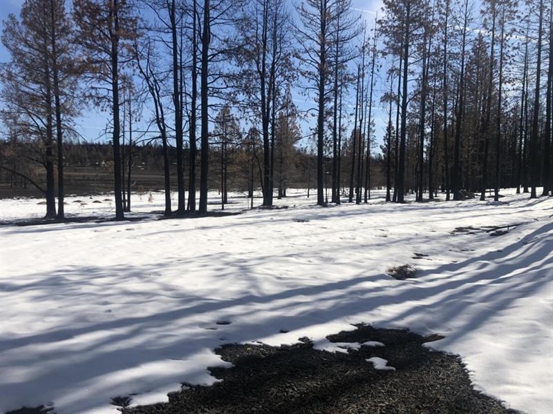 High Country Ranch : Bly : Klamath County : Oregon