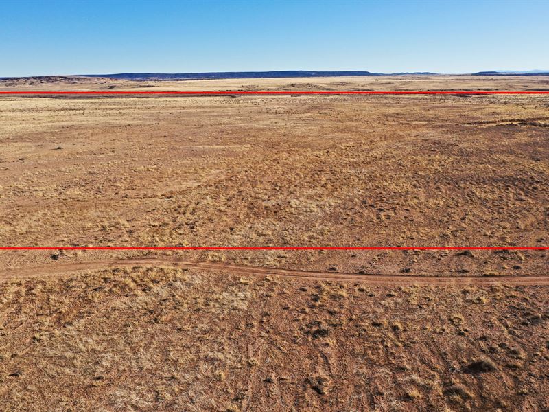 39.88 Acres in Az, $3500 Down : Saint Johns : Apache County : Arizona