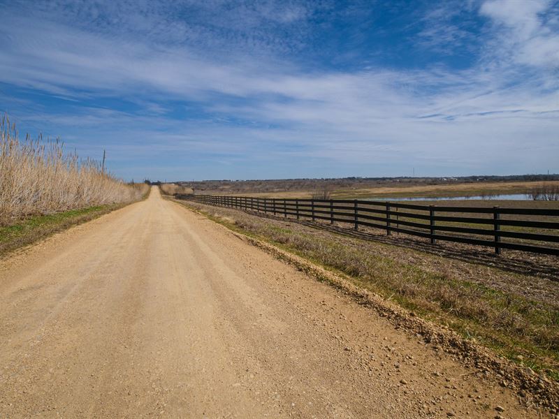 50.22 Acres in Milam County, Texas : Buckholts : Milam County : Texas