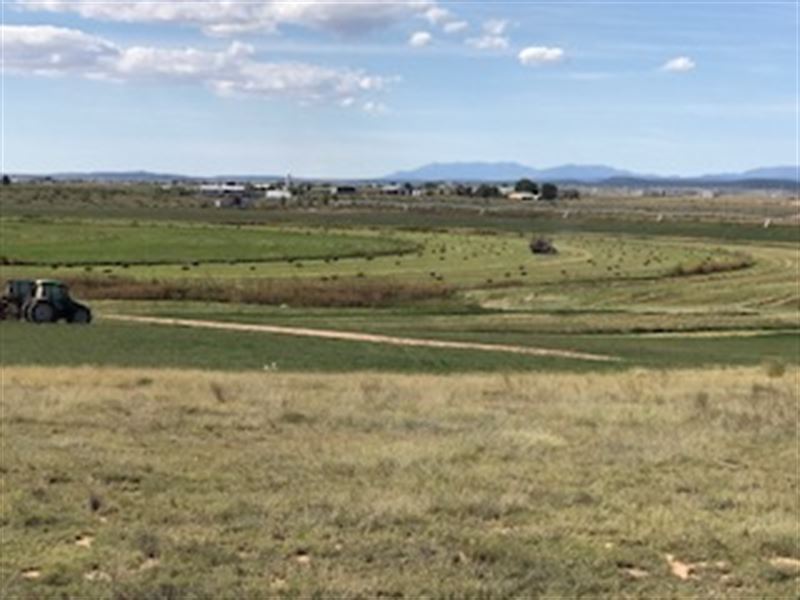 Producing Hay Farm, Ranch for Sale in New Mexico, 307988 RANCHFLIP