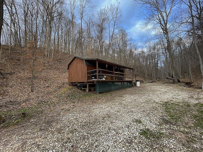 TR 217, 12 Acres, Lawrence County : Scottown : Lawrence County : Ohio