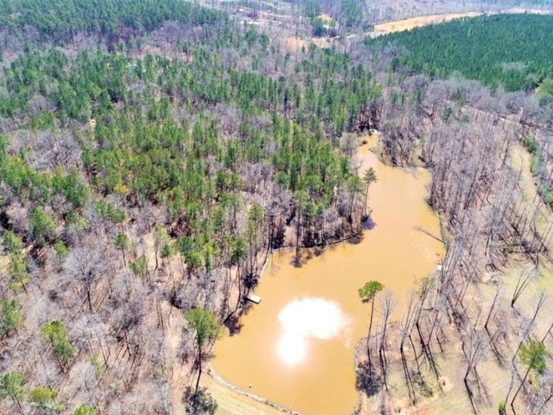 Natural Resource Investment : Gray : Jones County : Georgia