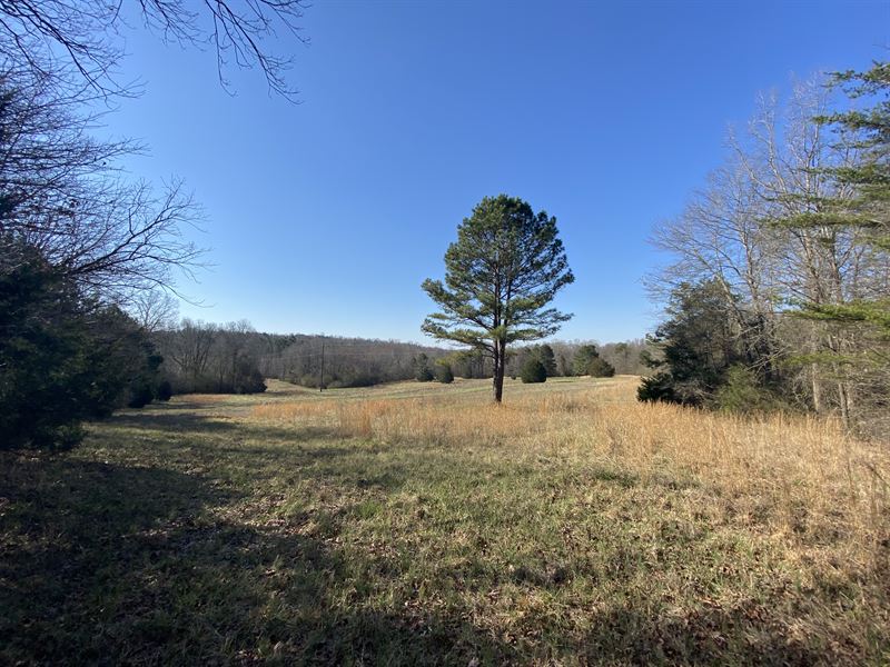 Rattle Trap Tract : Commerce : Banks County : Georgia