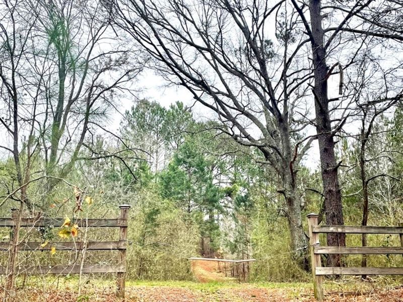 US Highway 80 W : Roberta : Crawford County : Georgia