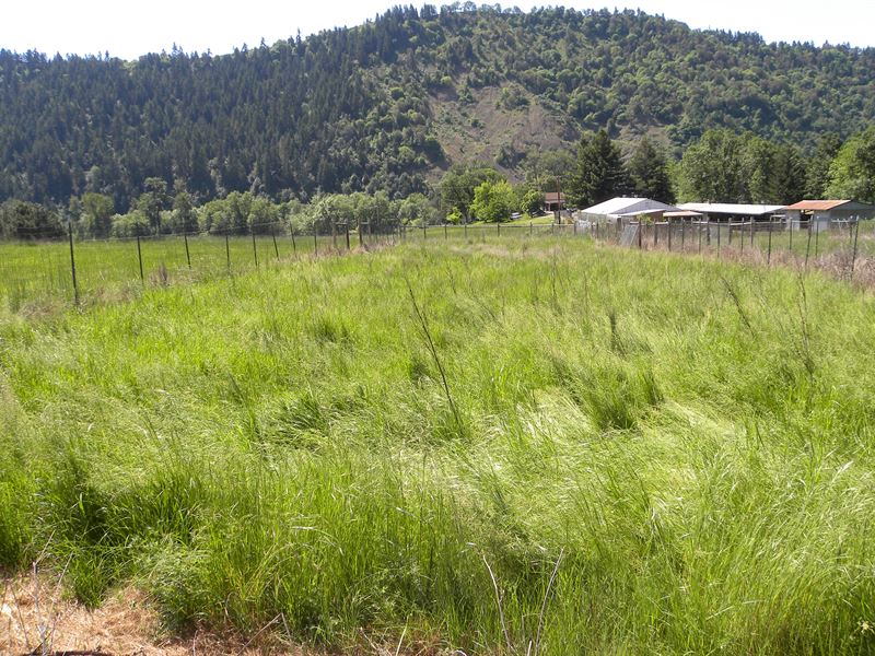Beautiful Farm, Greenhouses, Homes : Winston : Douglas County : Oregon