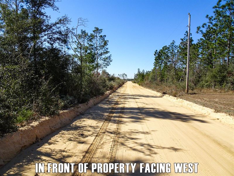 20 Pct Down, 20 Clean Ac, Great RD : Marianna : Calhoun County : Florida