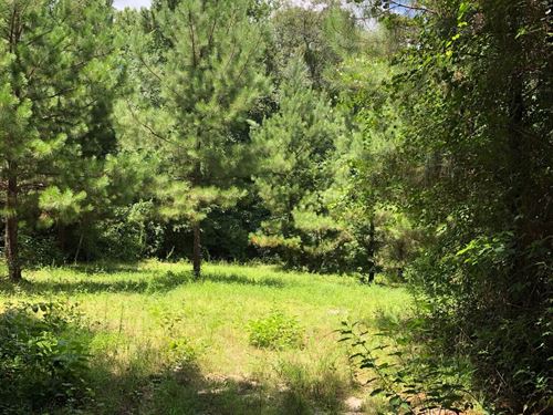 Hill Creek West Tract : Rockledge : Laurens County : Georgia