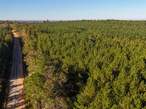 Hill Creek West Tract : Rockledge : Laurens County : Georgia