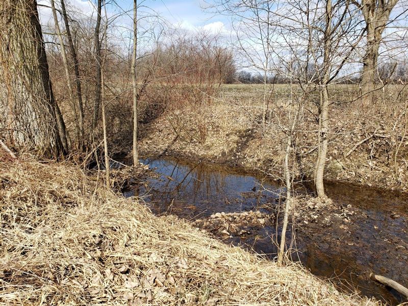 66.07 Acre Secluded Hunting Geta : Bangor : Van Buren County : Michigan