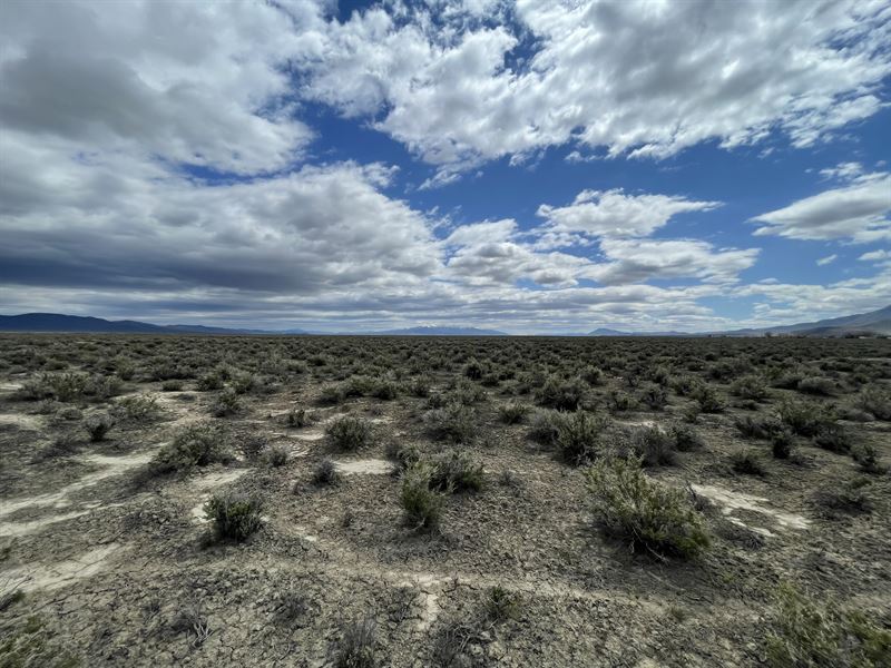 10 Acres in Humboldt County, Nevada : Winnemucca : Humboldt County : Nevada
