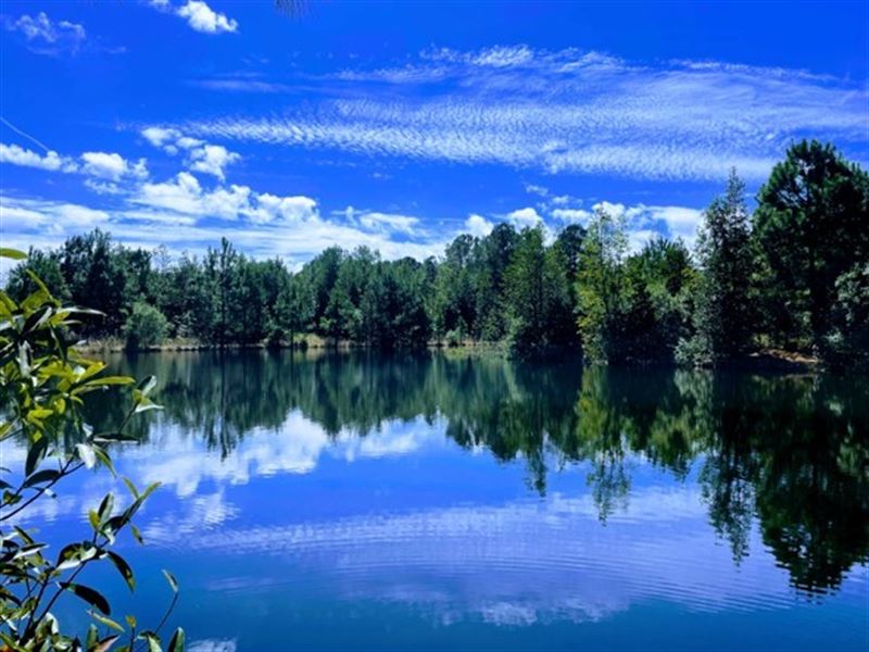 Double Pond Hunting Retreat : Lumber City : Wheeler County : Georgia