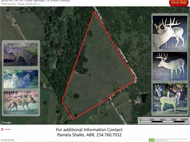 30 + Acres, Cedar Springs : Rosebud : Falls County : Texas