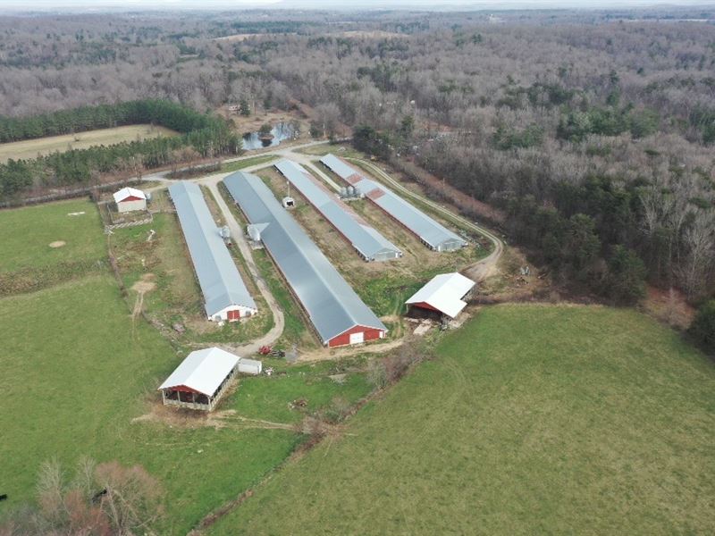 Young Broiler Farm : Deer Lodge : Morgan County : Tennessee