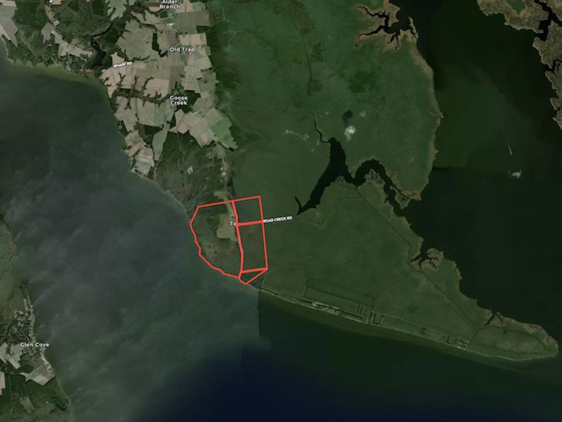 1340 Acres of Wat : Shiloh : Camden County : North Carolina