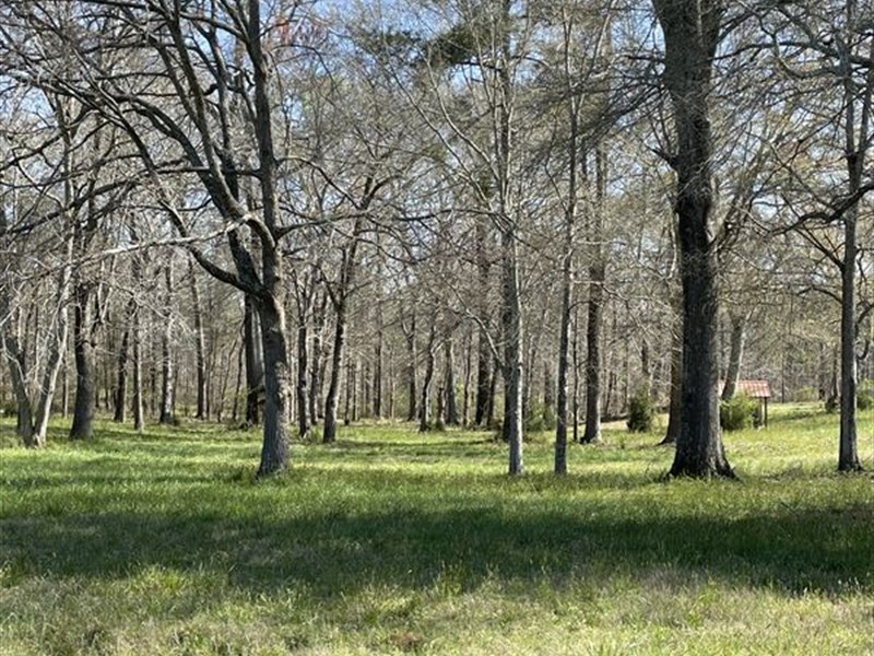 Perfect Tract of Land : Madison : Morgan County : Georgia