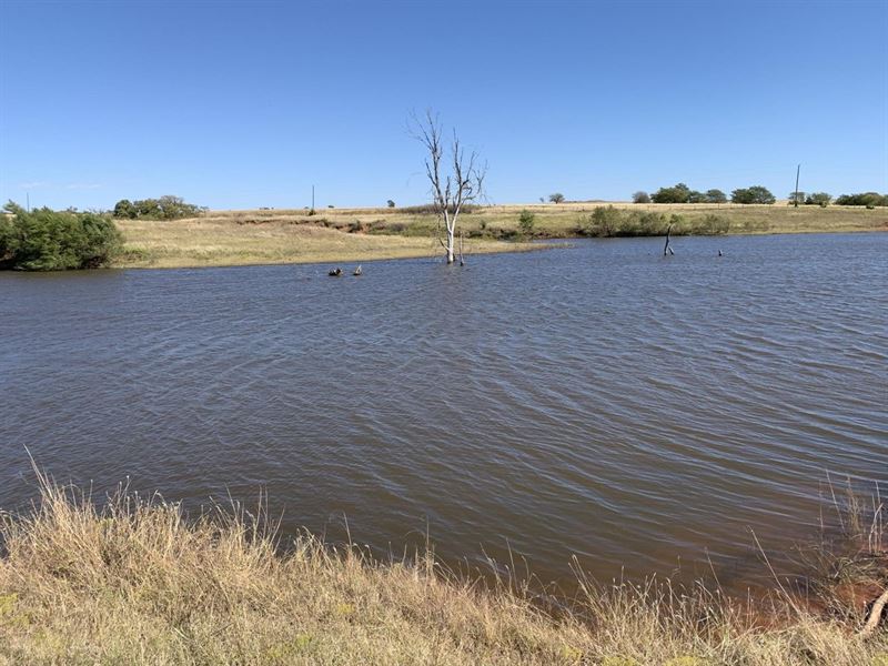 Beautiful Pasture Land / Fishing : Arapaho : Custer County : Oklahoma