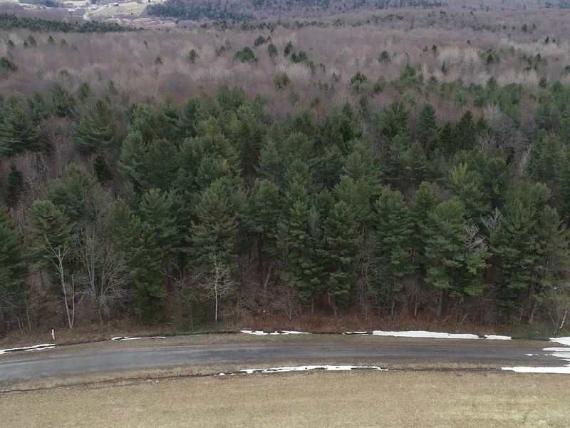 Trophy Hunting Location for a Cabin : Georgetown : Madison County : New York