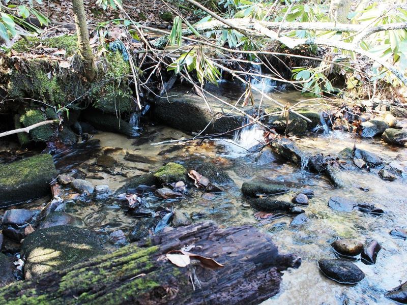 33.7 Acres Off Cane Creek Church : McGrady : Wilkes County : North Carolina