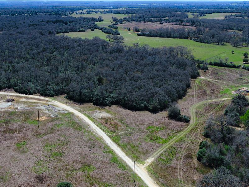 11 Acres in Milam County, Texas : Milano : Milam County : Texas