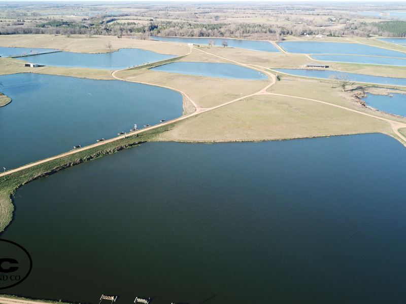 Wcc Catfish Farm, Ranch for Sale in Alabama, 310466 RANCHFLIP