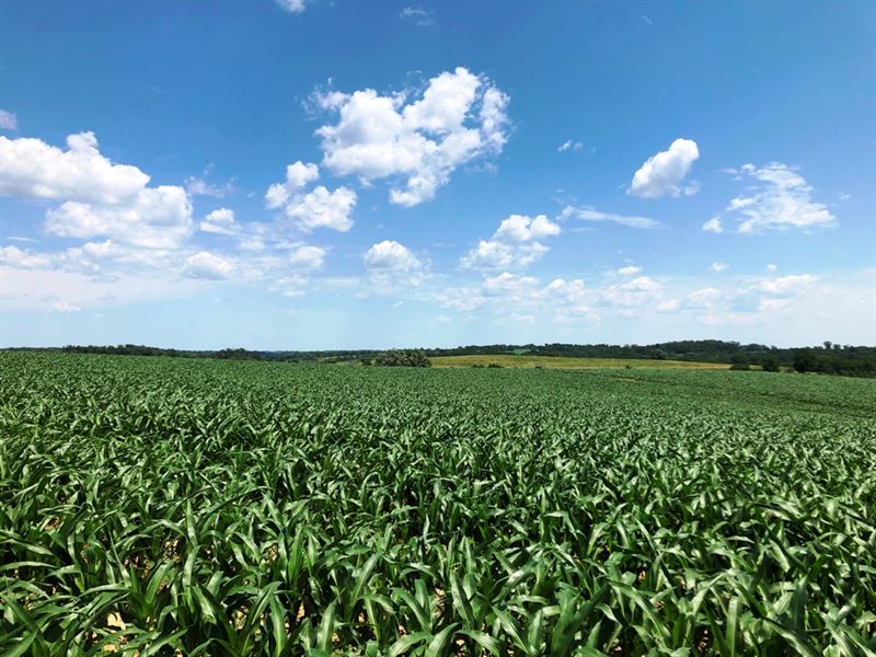 98.33 Acres, Grant County Ag. Land : Lancaster : Grant County : Wisconsin