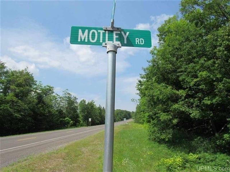 Wooded 40 Acres : Nisula : Houghton County : Michigan