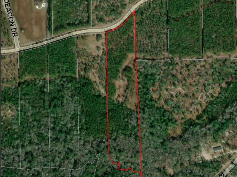 Lot 29 Deep Creek, Bryceville : Bryceville : Nassau County : Florida