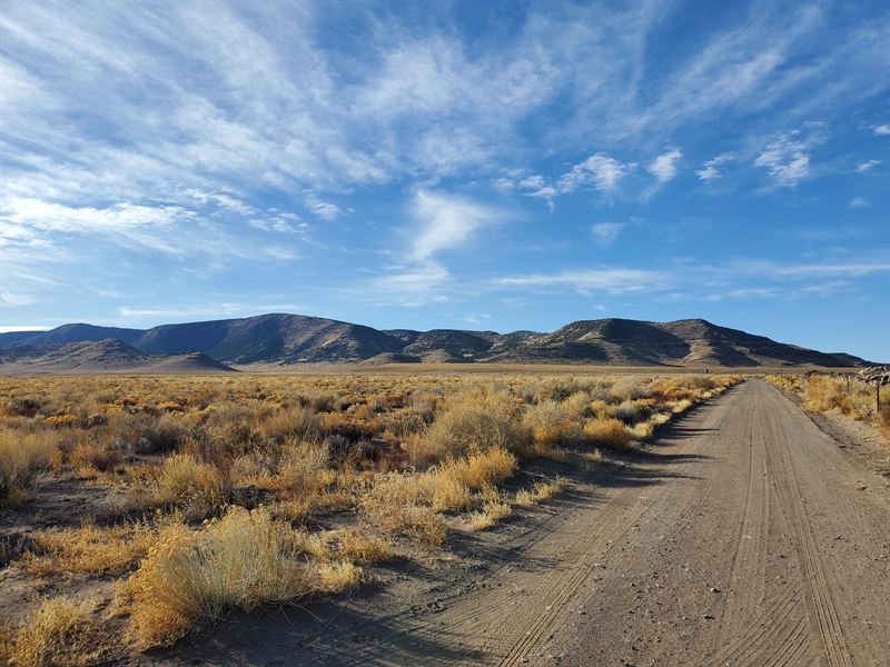 80 Acres in Conejos County, CO : Manassa : Conejos County : Colorado
