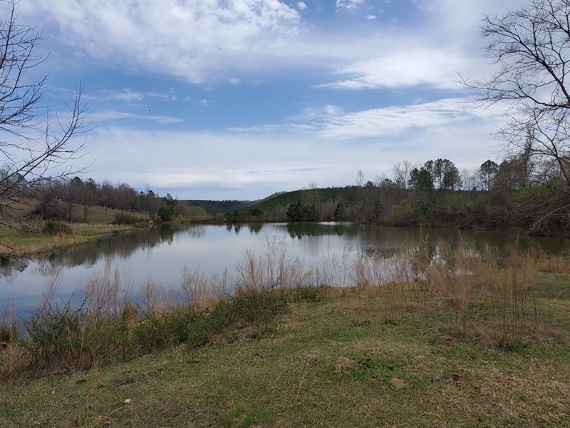 The Gossett Farm, 81 Ac. w Pond : Piedmont : Cherokee County : Alabama